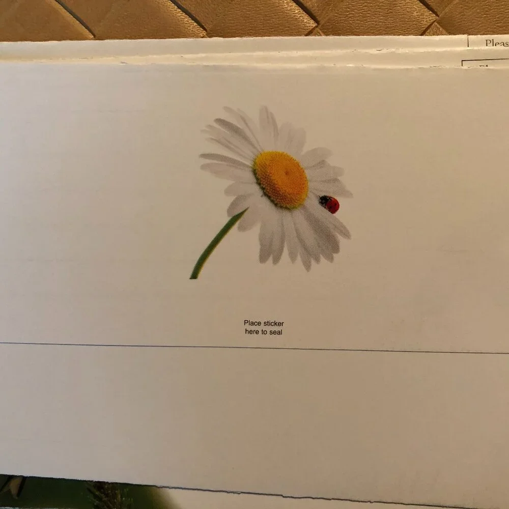 8 Blank Note Cards - Bluebirds, Ladybug and Dragonfly New
